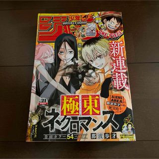 シュウエイシャ(集英社)の週刊 少年ジャンプ 2024年 21号 呪術廻戦 ワンピース 夜桜さんちの大作戦(少年漫画)