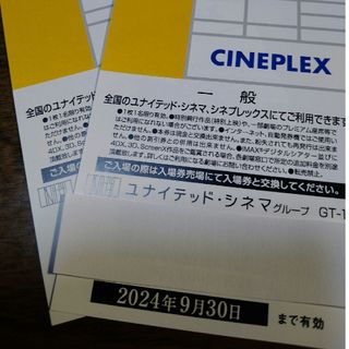 ユナイテッドシネマ映画鑑賞券　２枚