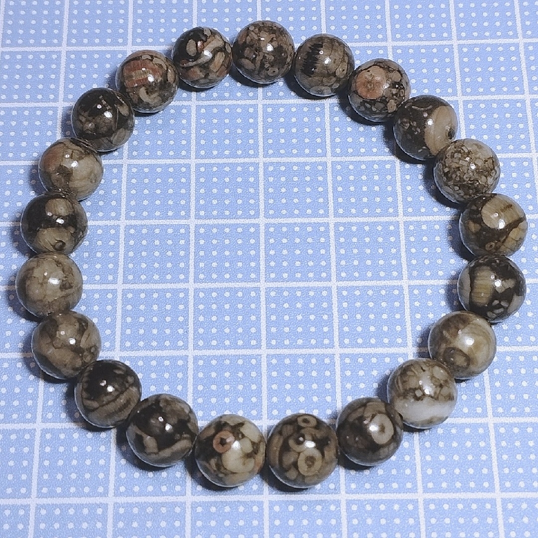ウミユリの化石 ペトリファイドクリノイド フォッシルクリノイド ウミユリの化石 ペトリファイドクリノイド フォッシルクリノイド