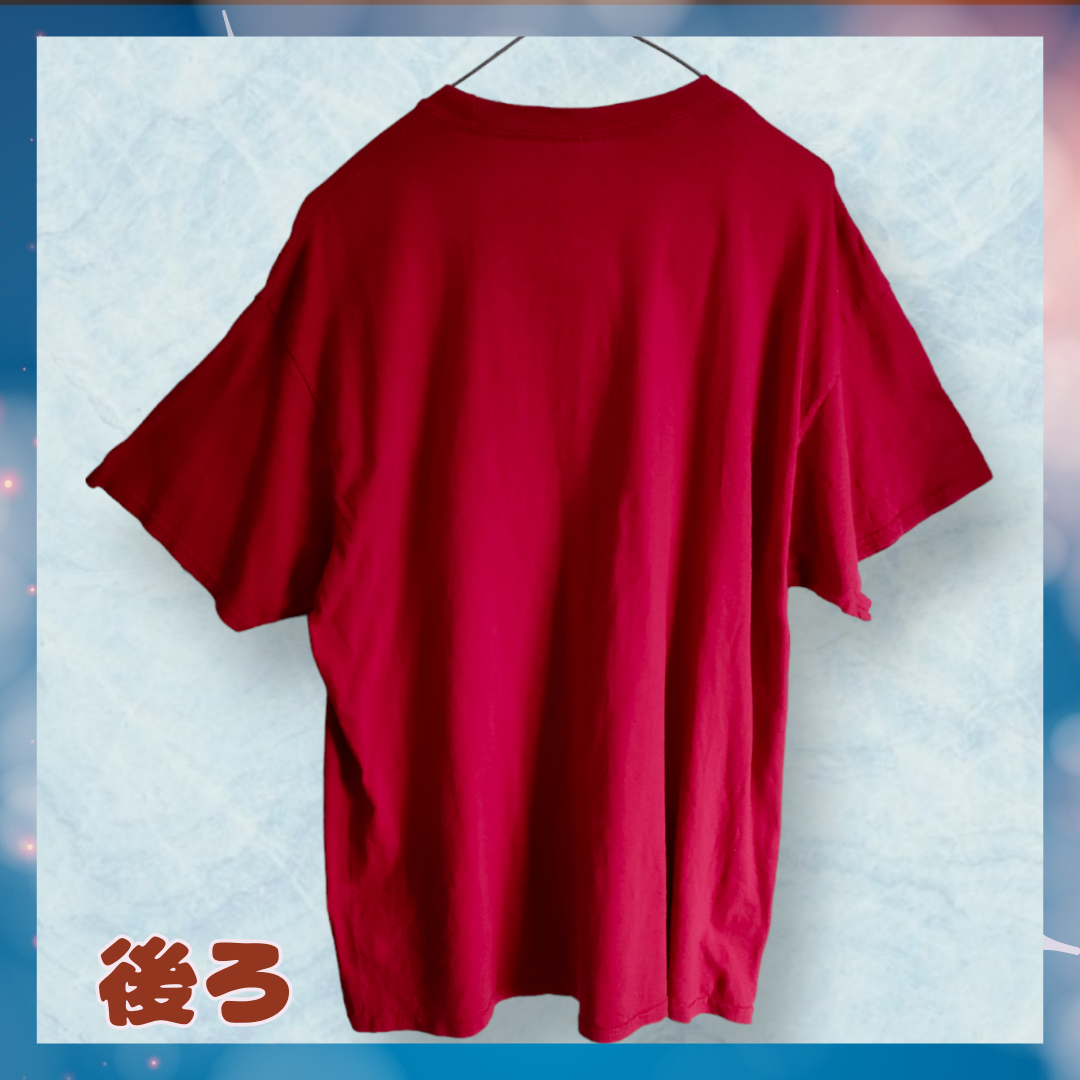 【最終値下げ】海外古着　PORT＆COMPANY　XL　LLサイズ(23) メンズのトップス(Tシャツ/カットソー(半袖/袖なし))の商品写真