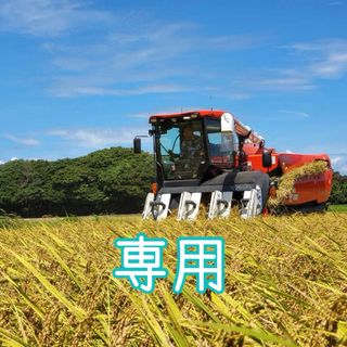 愛知県産コシヒカリ　15㎏（白米13.5㎏）(米/穀物)