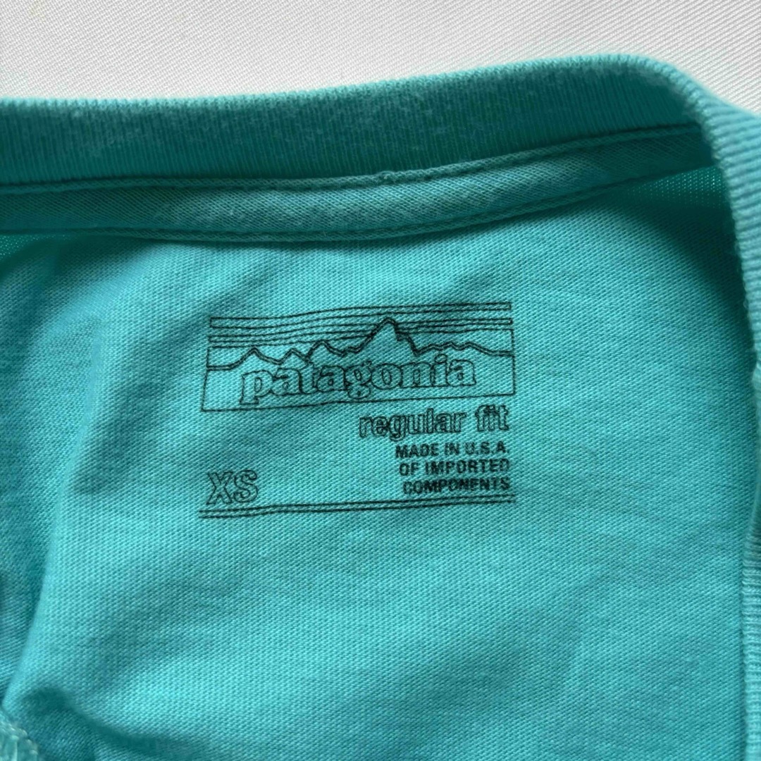 patagonia(パタゴニア)のPatagonia ロゴTEE メンズのトップス(Tシャツ/カットソー(半袖/袖なし))の商品写真