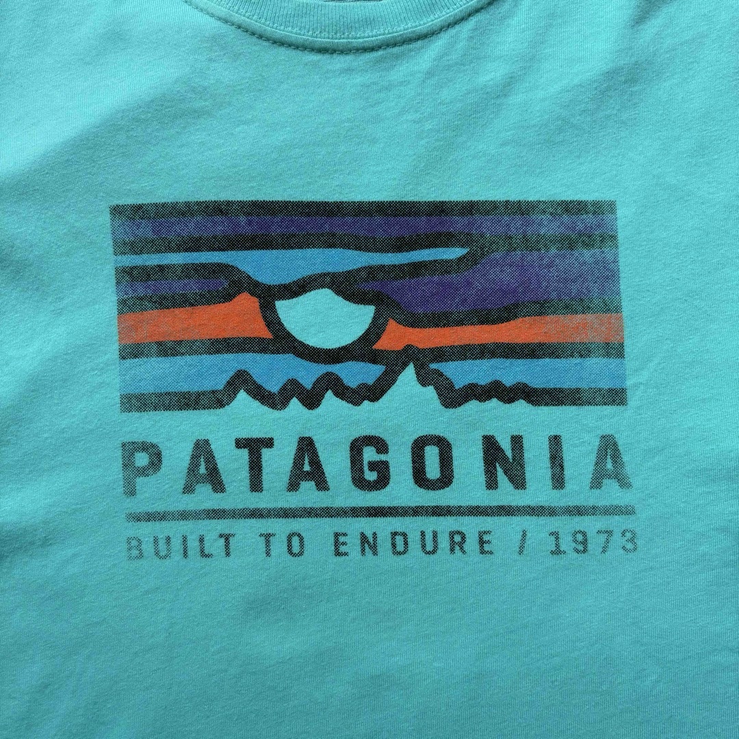 patagonia(パタゴニア)のPatagonia ロゴTEE メンズのトップス(Tシャツ/カットソー(半袖/袖なし))の商品写真