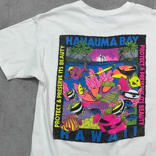 ヴィンテージ(VINTAGE)のHAWAII　ハワイ　ハナウマ島　熱帯魚　半袖Tシャツ　古着　ホワイト　L(Tシャツ/カットソー(半袖/袖なし))