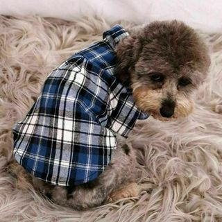 チェック柄 ワンちゃん 服 小型犬 ブルー かわいい♡(犬)