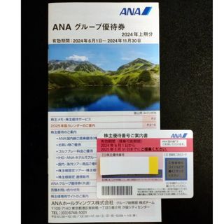 エーエヌエー(ゼンニッポンクウユ)(ANA(全日本空輸))のANA株主優待券セット(航空券)