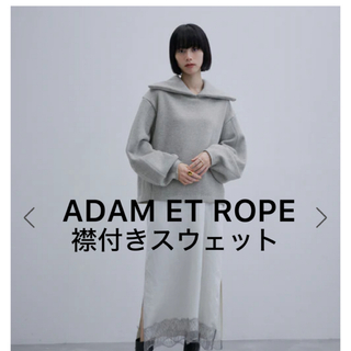 アダムエロペ(AER ADAM ET ROPE)の美品❣️ADAM ET ROPE FEMME  襟付きスウェット グレー(トレーナー/スウェット)