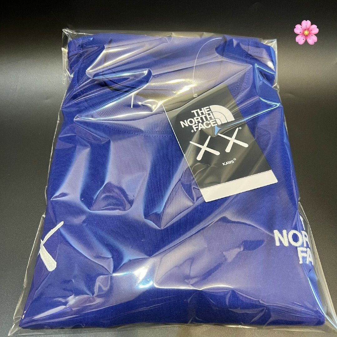 THE NORTH FACE(ザノースフェイス)の即日発送 KAWS ノースフェイス コットンTシャツ ブルー Sサイズ メンズのトップス(Tシャツ/カットソー(半袖/袖なし))の商品写真