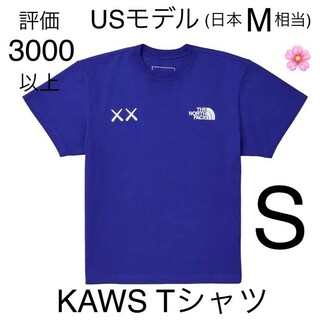 即日発送 KAWS ノースフェイス コットンTシャツ ブルー Sサイズ