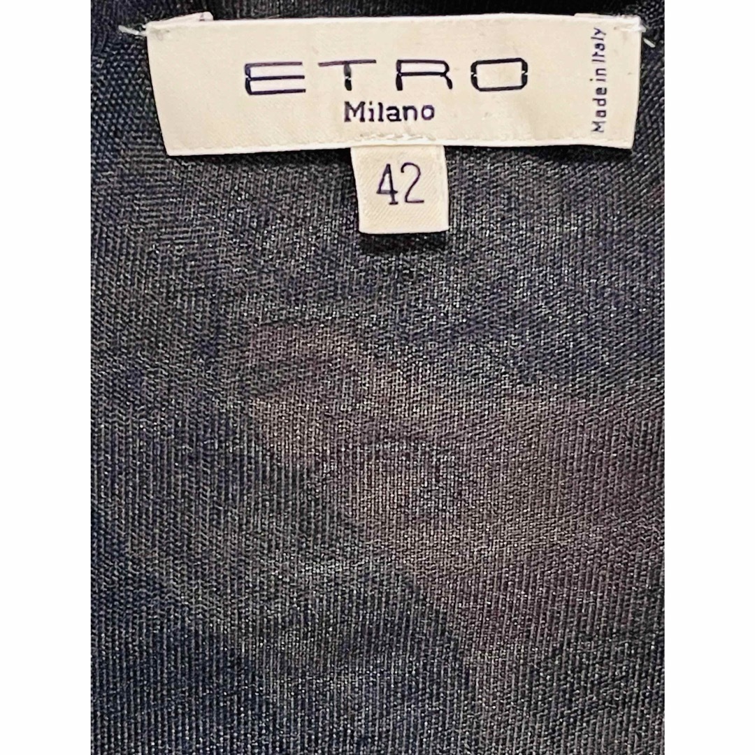 ETRO(エトロ)の極美品　エトロ　ワンピース42 七分袖 レディースのワンピース(ロングワンピース/マキシワンピース)の商品写真