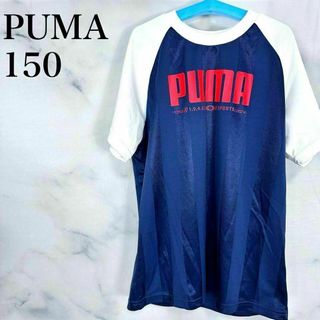 PUMA - プーマ　ロゴ入りTシャツ　ネイビー　ホワイト　半袖　キッズ　150