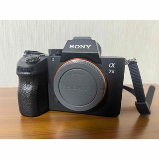 ソニー(SONY)のsony a7iii (ミラーレス一眼)