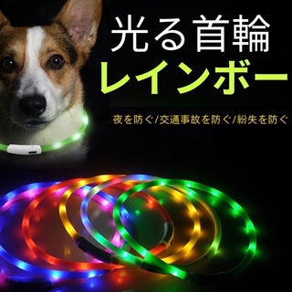 犬用　光る首輪　LEDライト　散歩　レインボー　事故防止　USB充電　犬　虹色(犬)