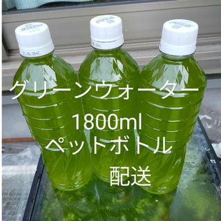 グリーンウォーター1800ml(アクアリウム)