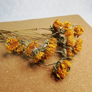 【ドライフラワー花材】ミニヒマワリ　16本セット (花の大きさ1.5〜2cm程度(ドライフラワー)
