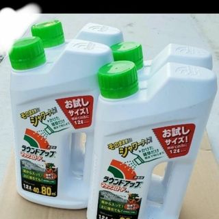 売りつくし！　超軽量 ラウックスロードAL　1.2L×4本(その他)