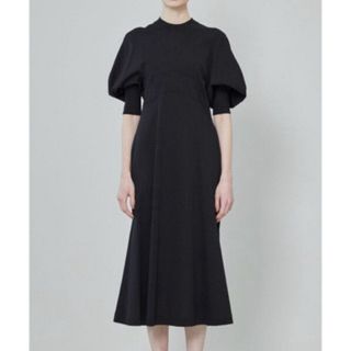 マメ(mame)のmame 21ss Classic Cotton Dress(ロングワンピース/マキシワンピース)