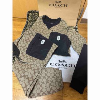 COACH - 正規品 本物 希少激レア コーチ 総シグネチャー スウェット 上下セット 即完売