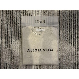 アリシアスタン(ALEXIA STAM)の新品　アリシアスタン♡ALEXIA STAM ロゴ刺繍 Tee Tシャツ グレー(Tシャツ(半袖/袖なし))