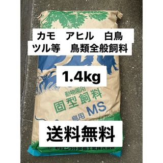 オリエンタル酵母　MS カモ　アヒル　白鳥等水鳥類全般飼料　1.4キロ　送料無料(鳥)