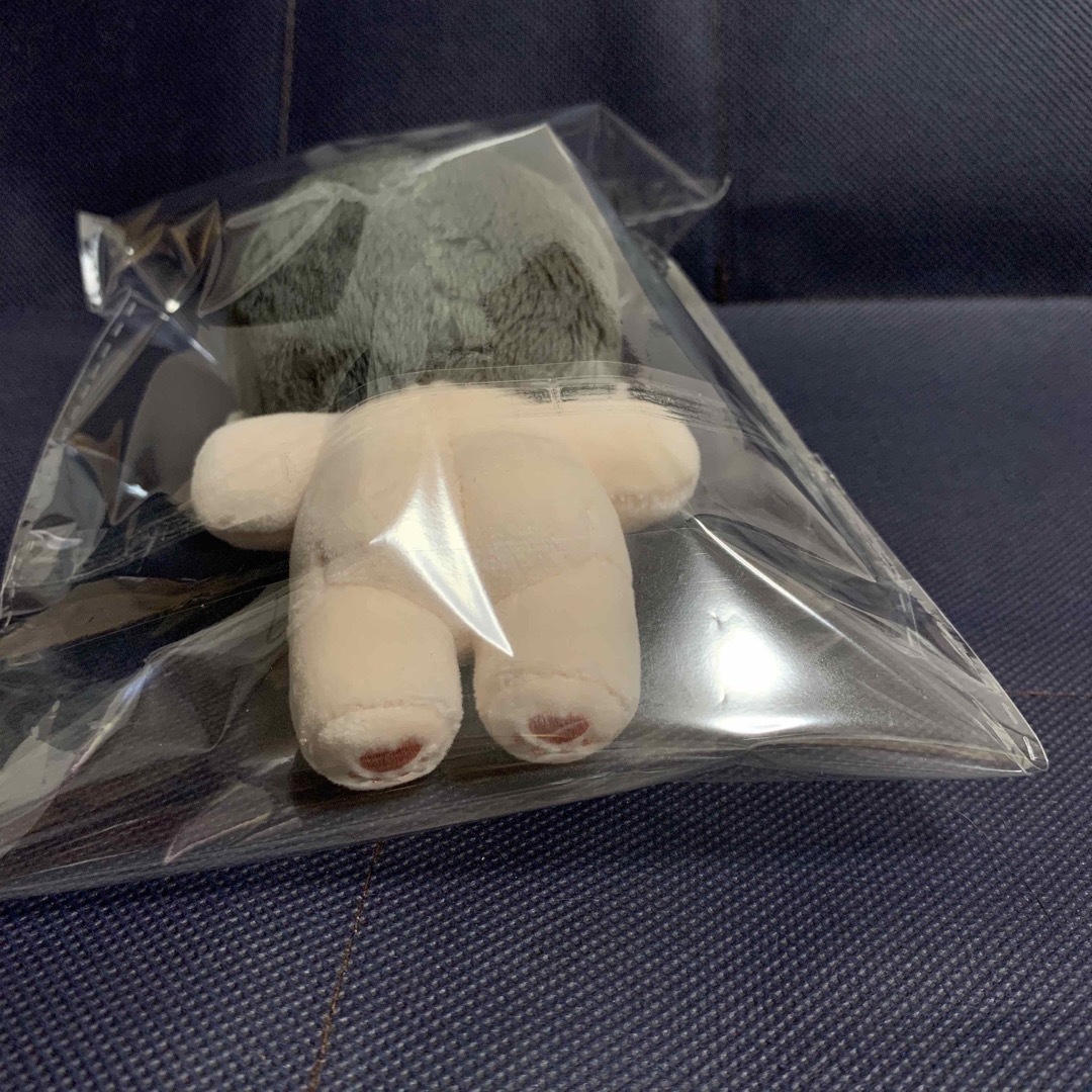 エスクプス ぬいぐるみ 10cm 新品 マスター セブチ svt エスクプス ぬいぐるみ 10cm 新品 マスター セブチ svt