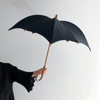 DRESSTERIOR - 新品✨日傘女子に大人気❤️ディチェザレデザイン 晴雨兼用 UVカット 防水加工