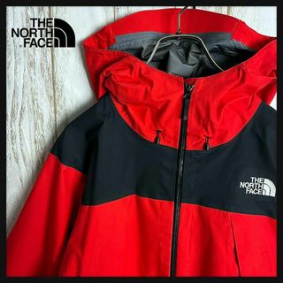 ザノースフェイス(THE NORTH FACE)の【人気デザイン】ノースフェイス☆切り返しゴアテックスマウンテンパーカー 刺繍ロゴ(マウンテンパーカー)