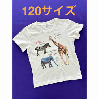 動物デザイン★Tシャツ★半袖★１２０サイズ(Tシャツ/カットソー)