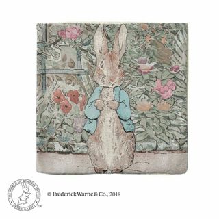 PETER RABBIT（TM） - ピーターラビット フラワーベッド クッションカバー