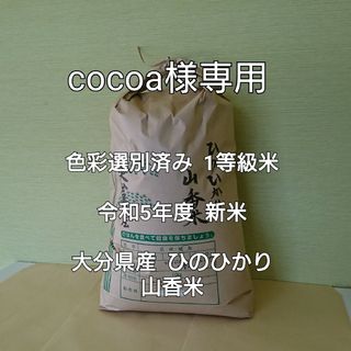 cocoa様専用 5kg×6 無洗米精米 大分県産 ひのひかり 山香米(米/穀物)