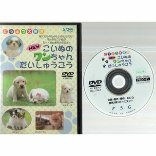 rd07906　NEW こいぬのワンちゃんだいしゅうごう　中古DVD(キッズ/ファミリー)