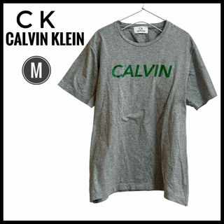 シーケーカルバンクライン(ck Calvin Klein)のTシャツ　CK CALVINKLEIN Mサイズ　半袖　グレー　綿100% (Tシャツ/カットソー(半袖/袖なし))