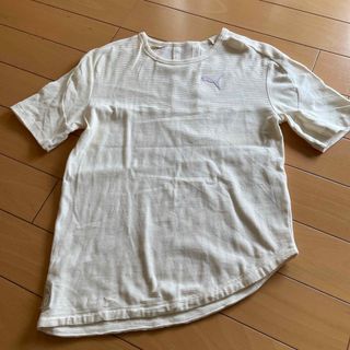 PUMA - プーマ　レディースTシャツ