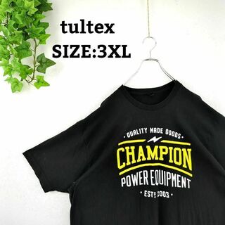 TULTEX Tシャツ US古着 3XL オーバーサイズ ビッグプリント 黒(Tシャツ/カットソー(半袖/袖なし))