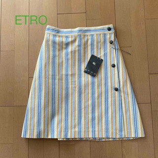 エトロ(ETRO)のETRO スカート(ひざ丈スカート)