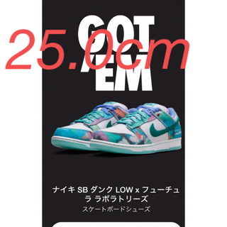 ナイキ(NIKE)のFutura × Nike SB Dunk Low (スニーカー)