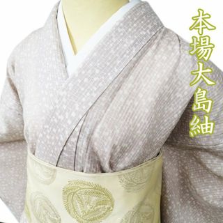 夏物 夏大島 大島紬 着物 中古 正絹 カジュアル ラベル付き 紙吹雪模様 亜麻色 身丈156cm 裄65cm M ワイド きもの北條 A1022-11(着物)