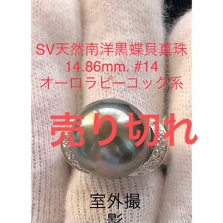 SV天然南洋黒蝶真珠　オーロラピーコック系　14.86mm#14(リング(指輪))