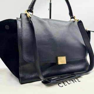 celine - 【極美品・希少✨】セリーヌ トラペーズ 2way ハンドバッグ パイソン 黒