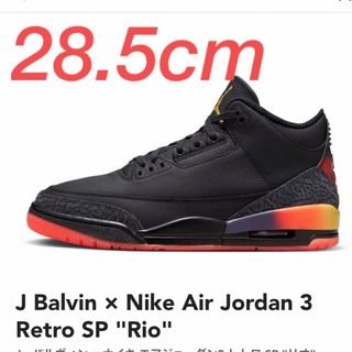 NIKE - AIR JORDAN 3 rio バルヴィン　28.5cm