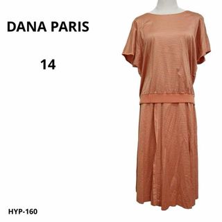 DANA PARIS ダナパリ スカートセットアップ 半袖 ボーダー 14(その他)