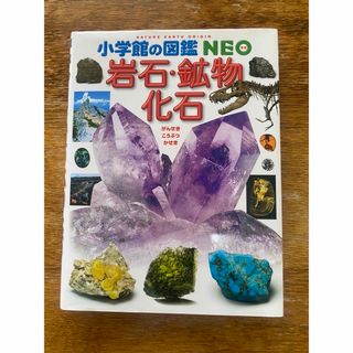 ショウガクカン(小学館)の【図鑑】NEO 岩石・鉱物・化石(絵本/児童書)