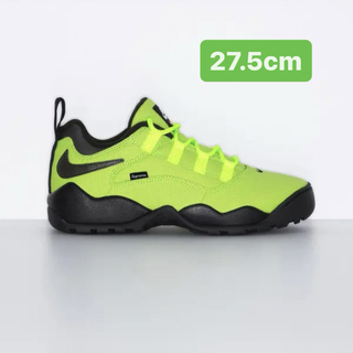 Supreme Nike SB Darwin Low 27.5cm