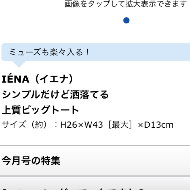 IENA(イエナ)のおとなMUSE 付録 レディースのバッグ(トートバッグ)の商品写真