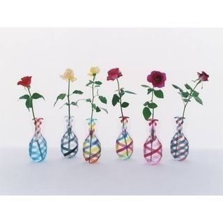 【2枚組】D-BROS公式 FLOWER VASE フラワーベース レインボー(花瓶)