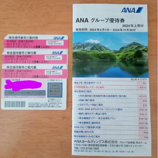 エーエヌエー(ゼンニッポンクウユ)(ANA(全日本空輸))のANA株主優待券3枚＋パンフレット(航空券)