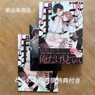 新品未読品✨続：キーミスティックアンダーカバー　喃喃　とらのあな有償特典付き(ボーイズラブ(BL))