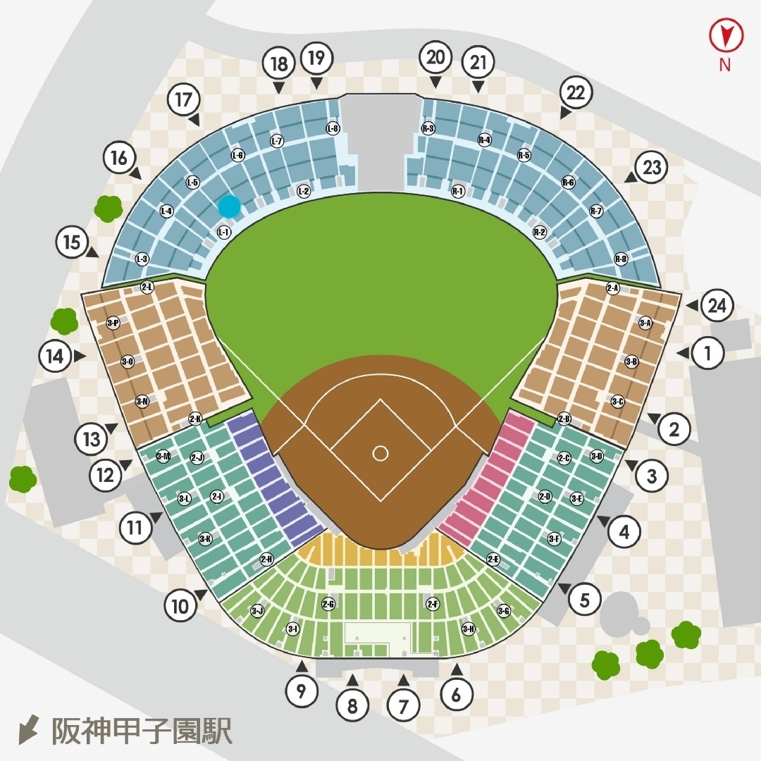 阪神タイガース(ハンシンタイガース)の[専用出品]阪神vs西武 甲子園 チケットのスポーツ(野球)の商品写真