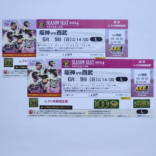 ハンシンタイガース(阪神タイガース)の阪神vs西武 甲子園(野球)