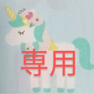 専用　2袋(口臭防止/エチケット用品)